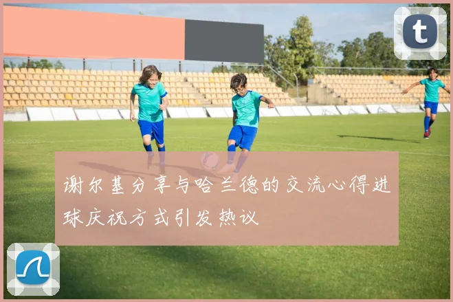 谢尔基分享与哈兰德的交流心得进球庆祝方式引发热议