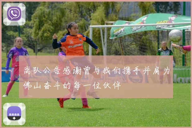 离队公告感谢曾与我们携手并肩为佛山奋斗的每一位伙伴